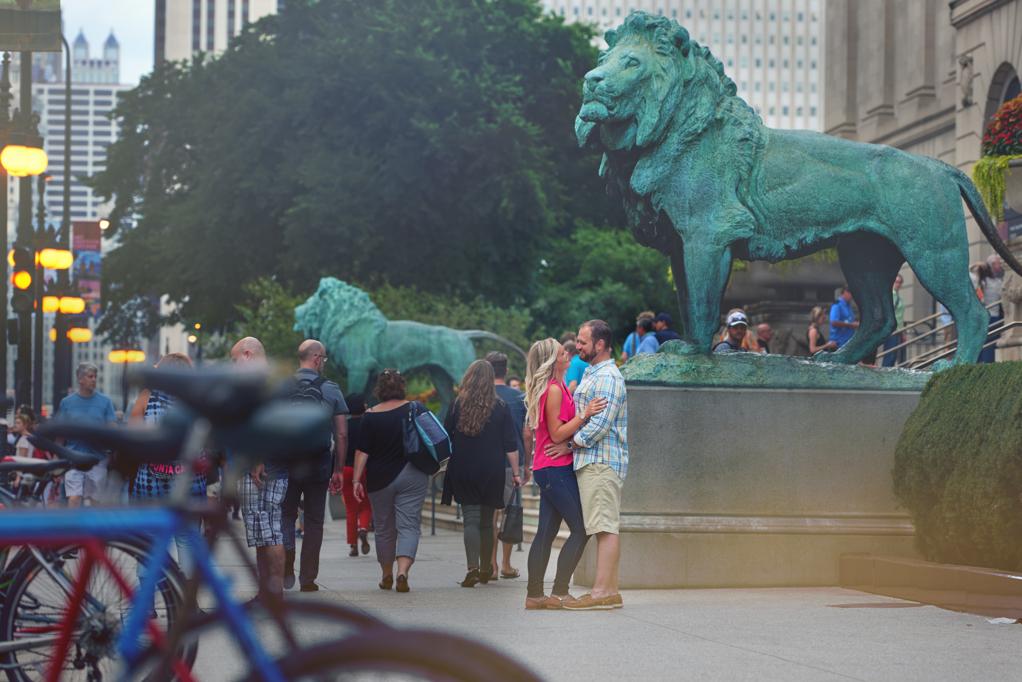 Chicago Art Institute lions